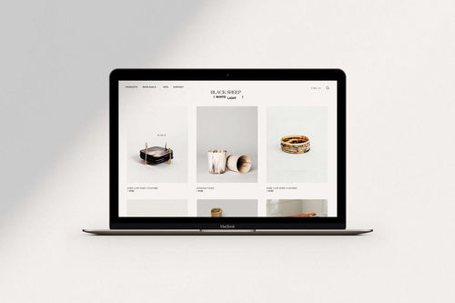 融合科技与自然的品牌美学 平面设计在室内设计产品品牌形象与网络技术开发中的创新实践