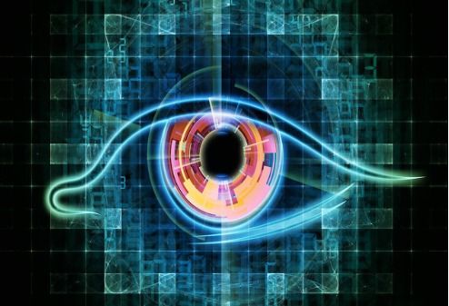 借鉴飞行昆虫视觉机理的导航网络技术开发方法概述